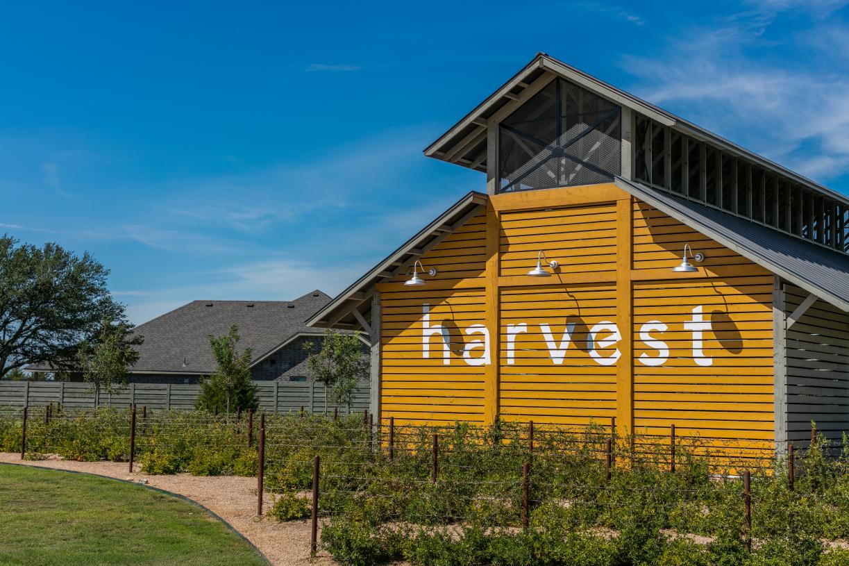 New construction homes in Harvest, Argyle, TX